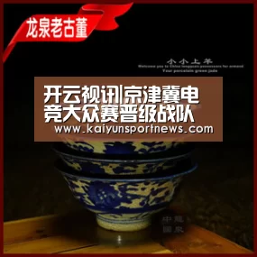 开云视讯|京津冀电竞大众赛晋级战队——Dg Team
